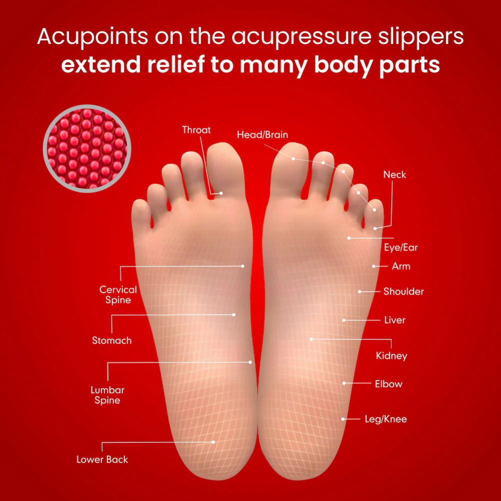 Dr. Ortho Acupressure Ladies Slippers - Image 5