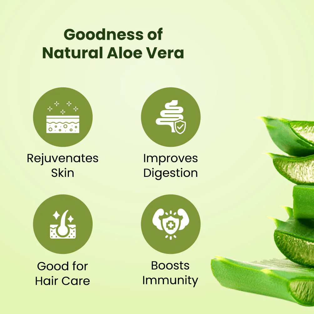 Roop Mantra Aloe Vera Juice (Fiber) - 500ml - Image 5