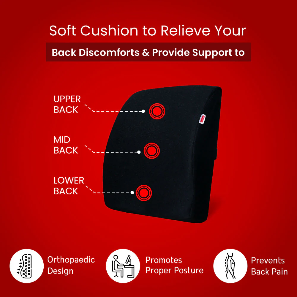 Dr. Ortho Back Support and Coccyx Cushion Combo - Image 6