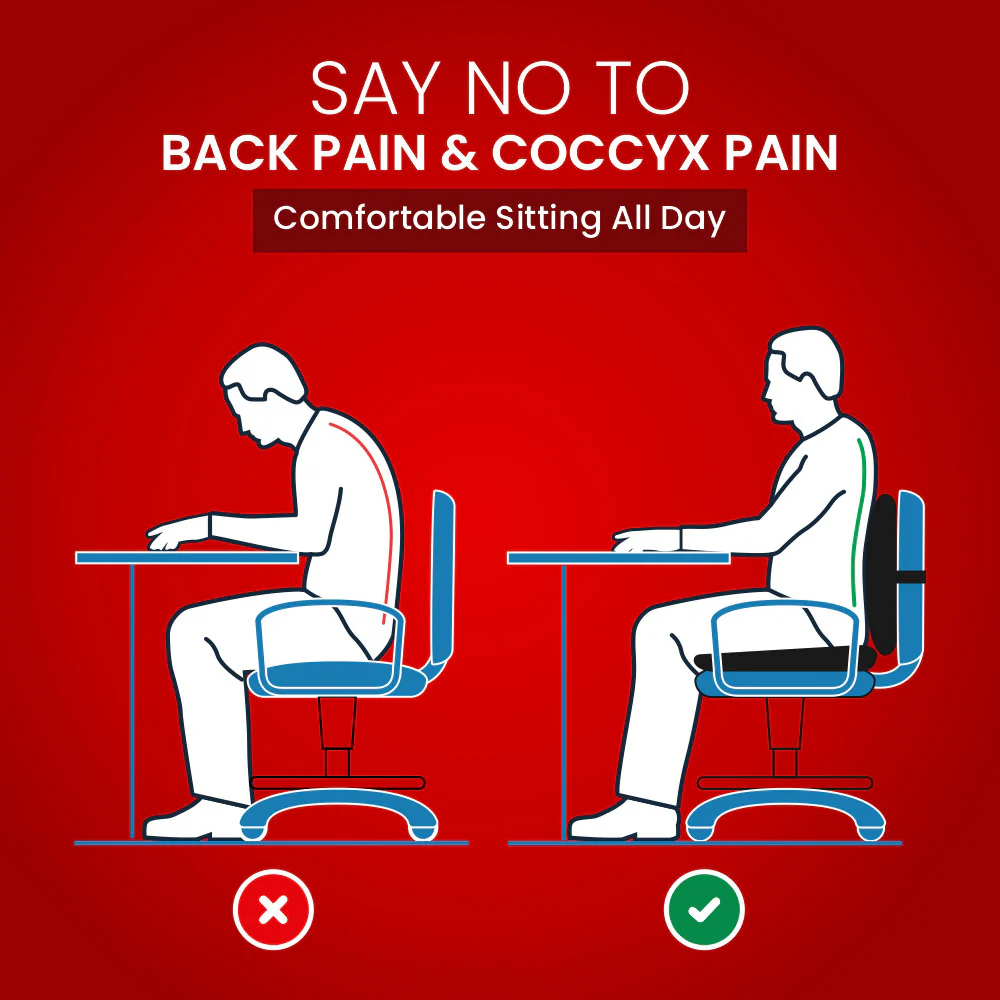Dr. Ortho Back Support and Coccyx Cushion Combo - Image 7