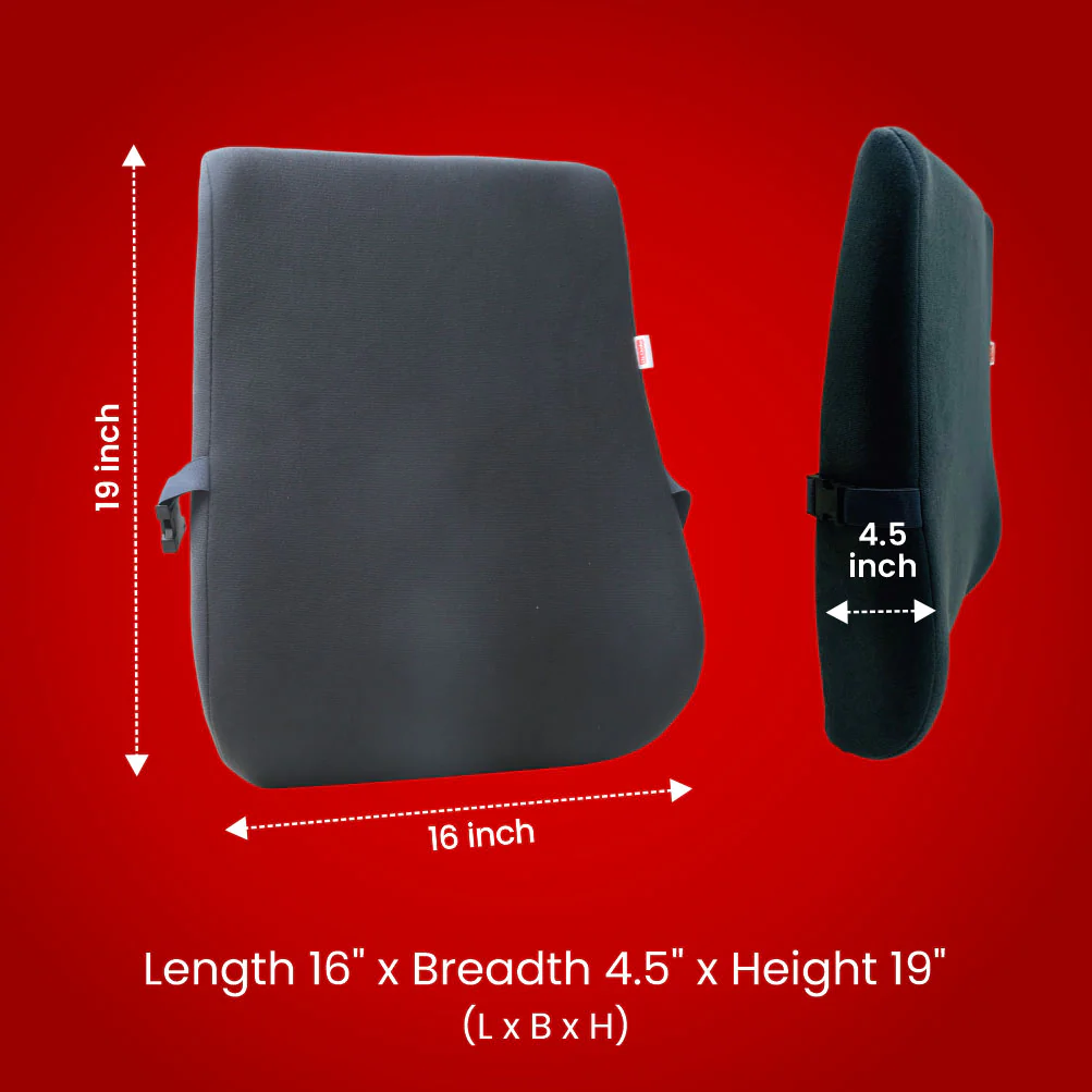 Dr. Ortho Back Support [PU Foam] - Image 5