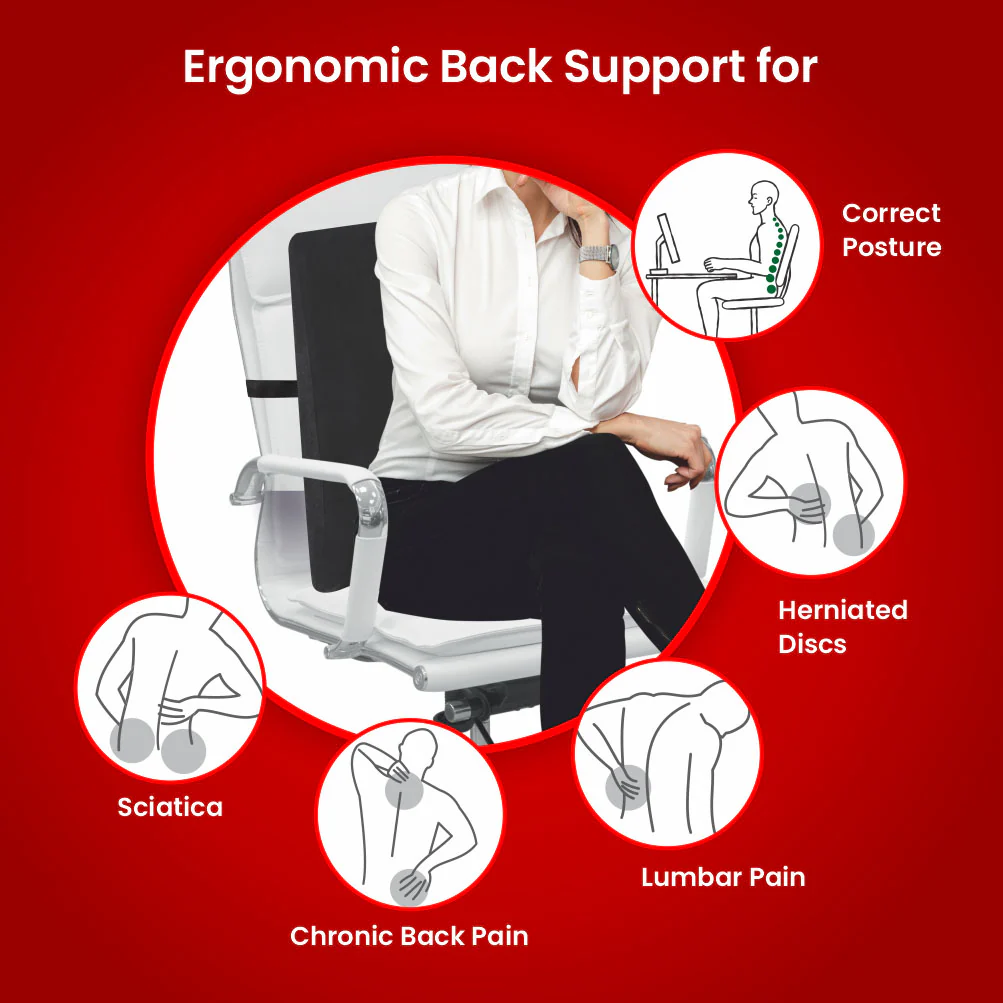 Dr. Ortho Premium Orthopaedic Back Rest - Image 8