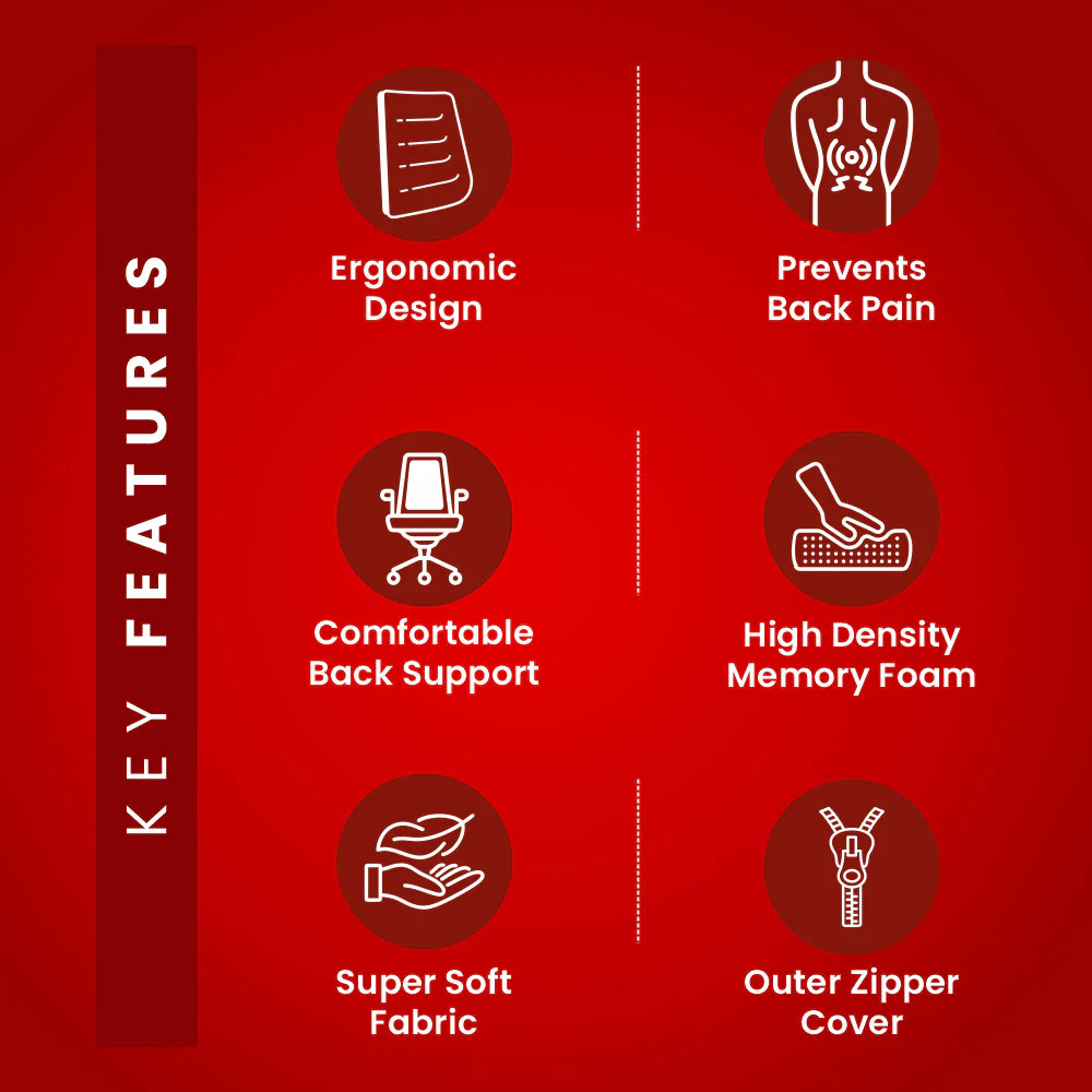 Dr. Ortho Premium Orthopaedic Back Rest - Image 9