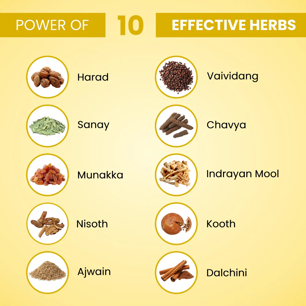 Pet Saffa Detox Duo - Image 3