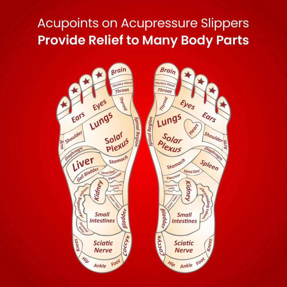 Dr. Ortho Premium Acupressure Slippers - Image 3